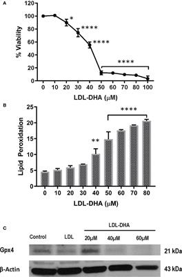 Repeated trans-arterial treatments of LDL-DHA nanoparticles induce multiple pathways of tumor cell death in hepatocellular carcinoma bearing rats